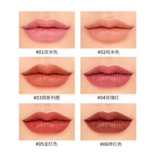 6 in 1 Lipstick Set