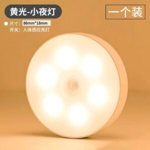Motion Sensor LED Light