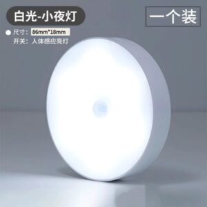 Motion Sensor LED Light