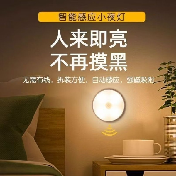 Motion Sensor LED Light