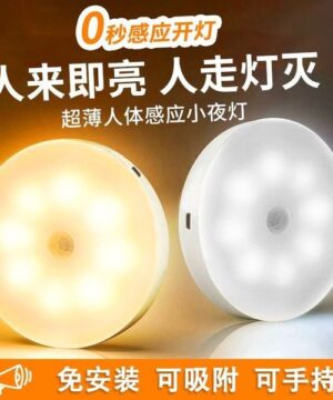 Motion Sensor LED Light
